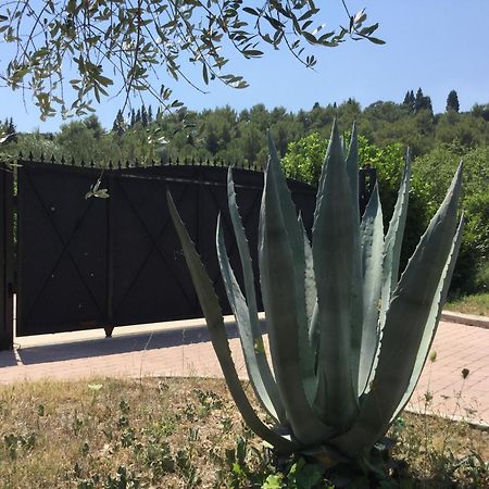 Villa Pax Maris Klek Eksteriør billede